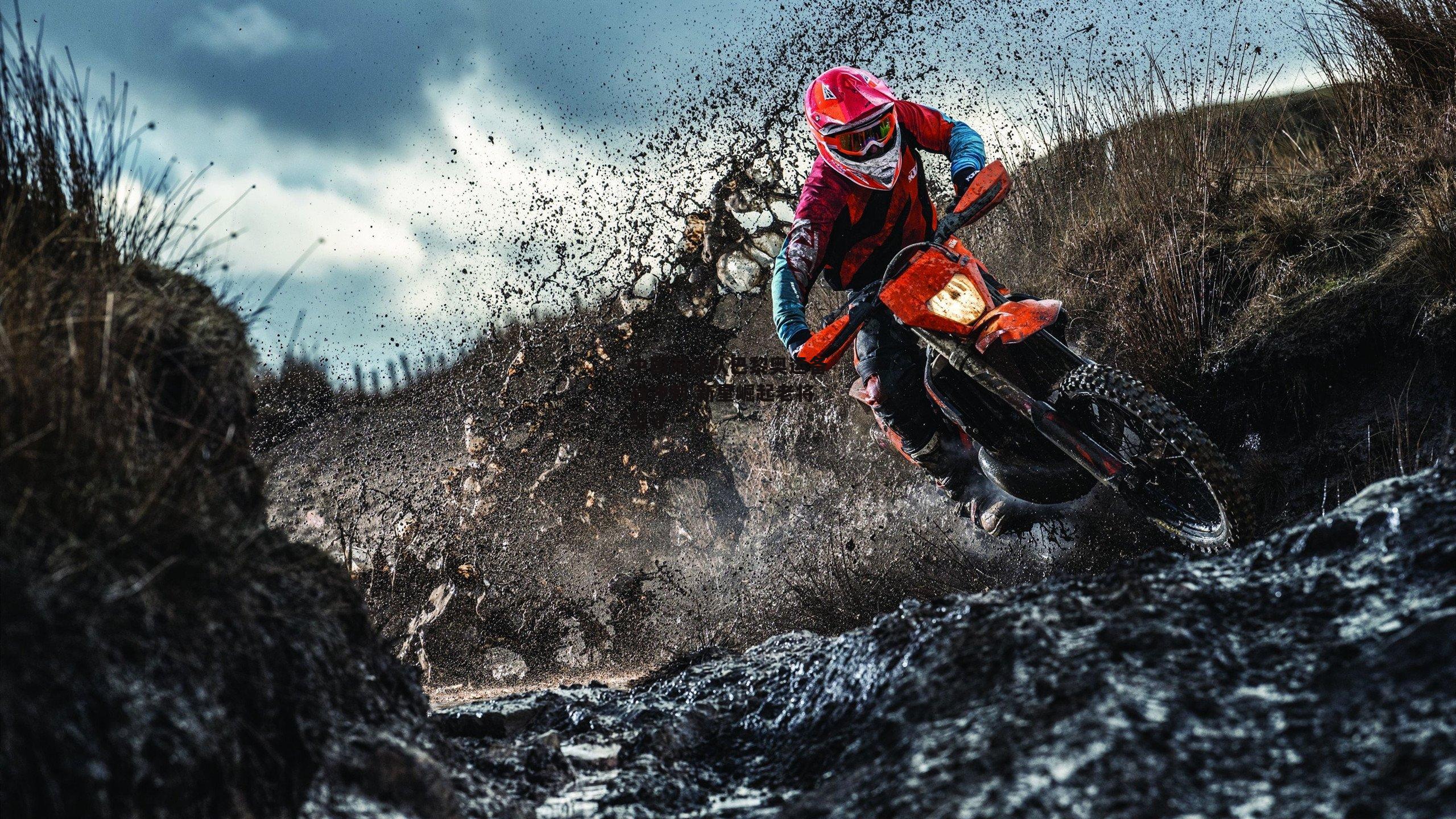 中国游泳队巴黎奥运备战冲刺 新星崛起老将坚守