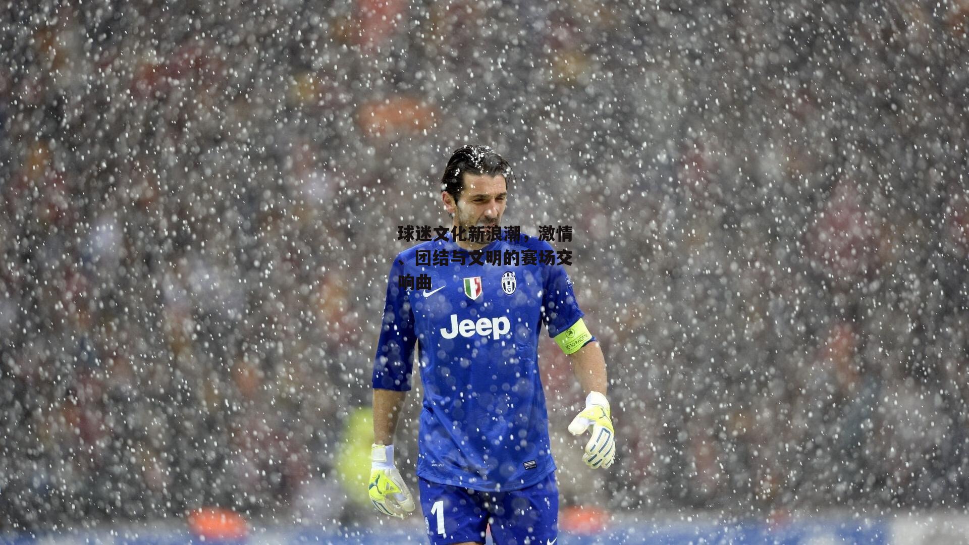 球迷文化新浪潮,激情、团结与文明的赛场交响曲