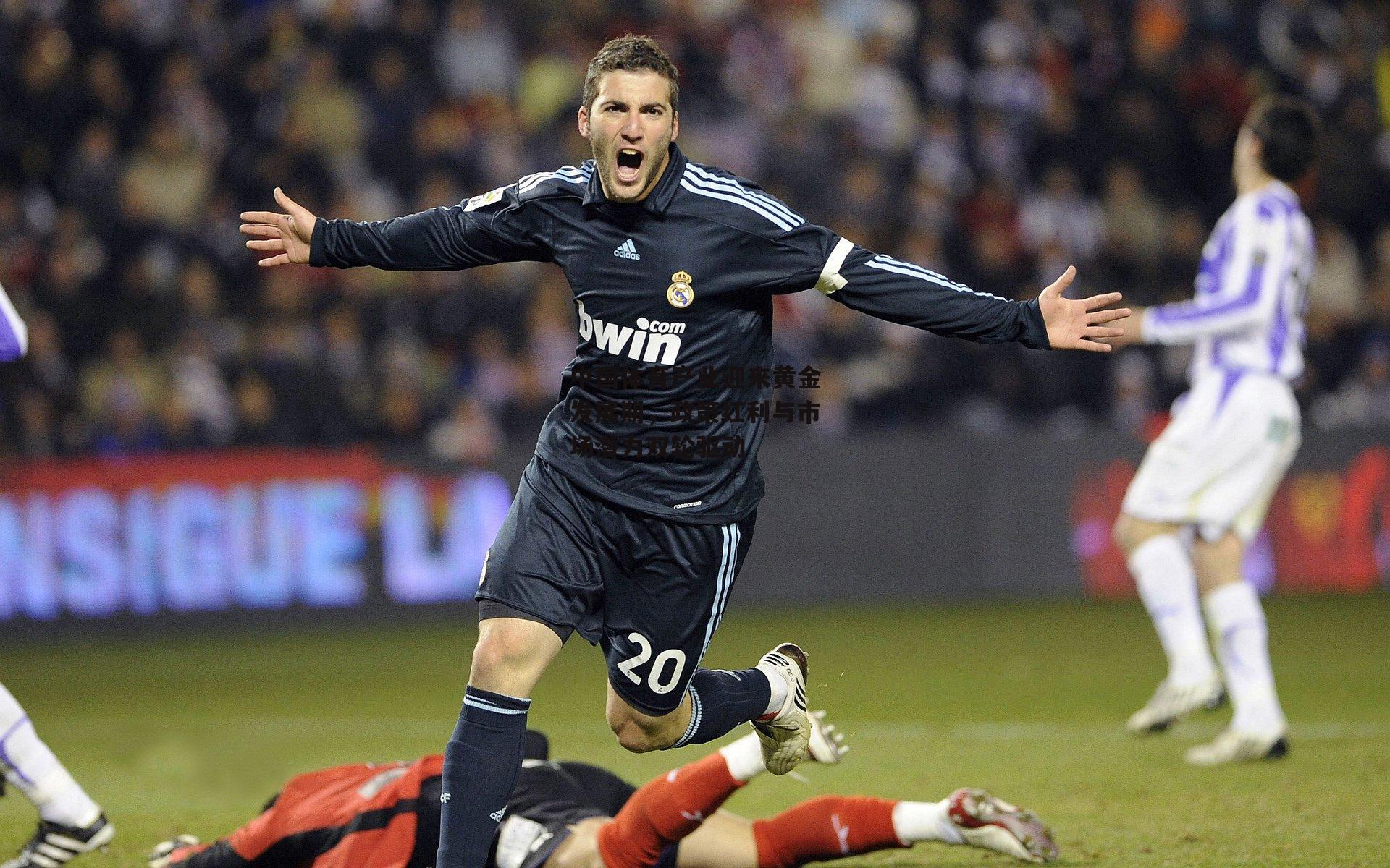 中国体育产业迎来黄金发展期,政策红利与市场潜力双轮驱动