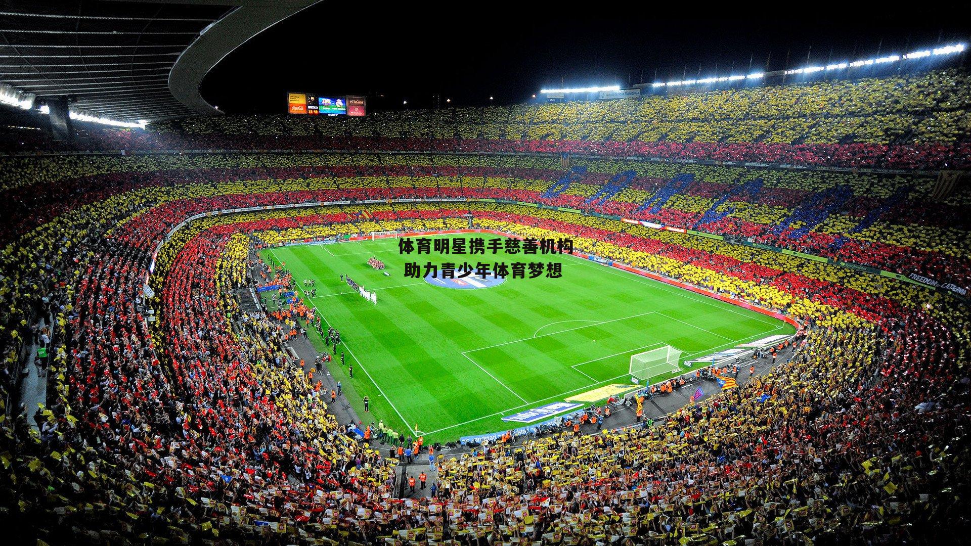 体育明星携手慈善机构 助力青少年体育梦想