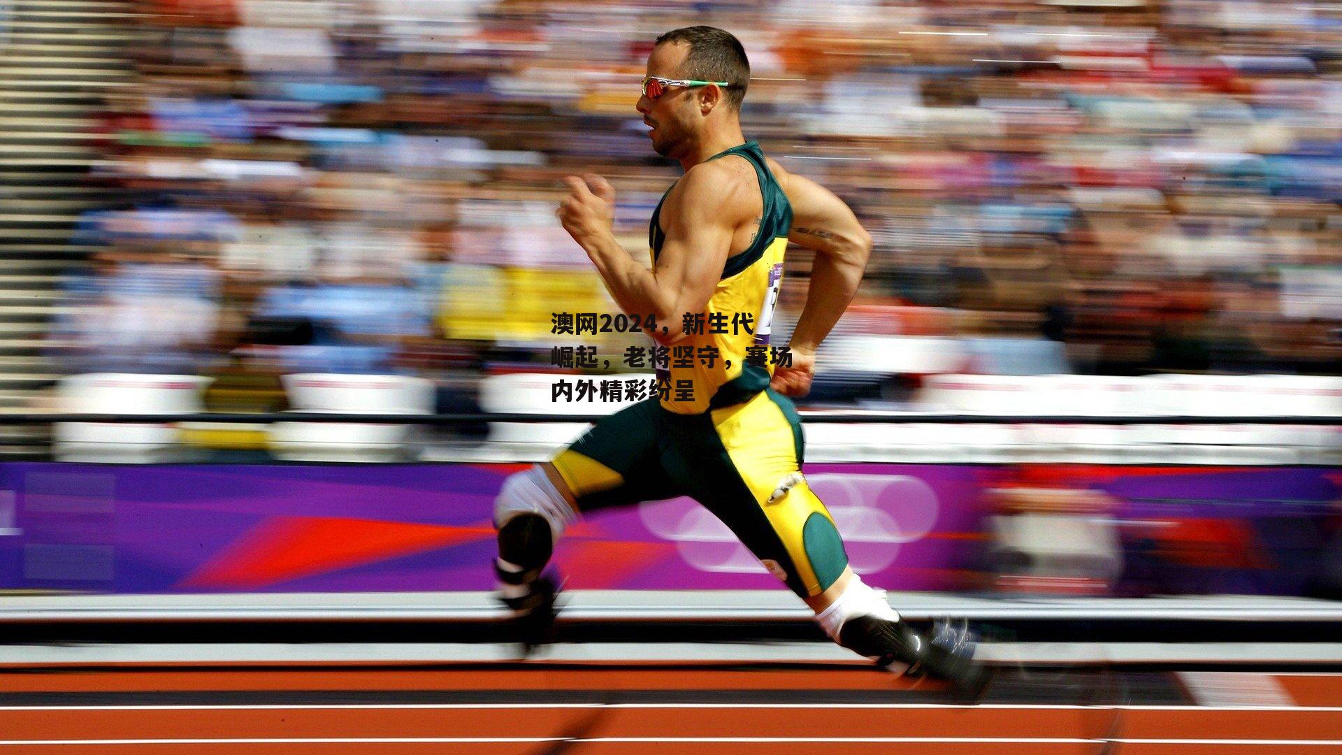澳网2024,新生代崛起,老将坚守,赛场内外精彩纷呈